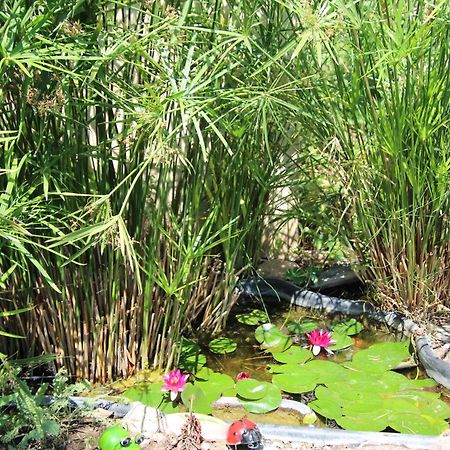 Le Mas Cothy En Provence Roquemaure  Bagian luar foto