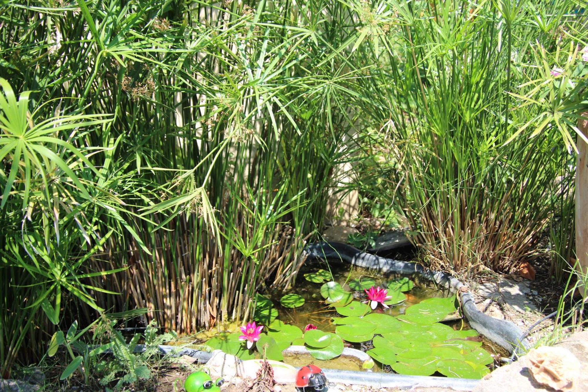 Le Mas Cothy En Provence Roquemaure  Bagian luar foto